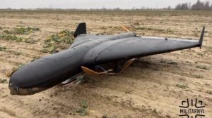 Заявлено как украинский «Шахед». Дальность 800 км. Боевая часть — 16 кг.