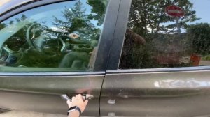 Сигнализация StarLine S96 v2 LTE GPS на автомобиле Kia Ceed jd