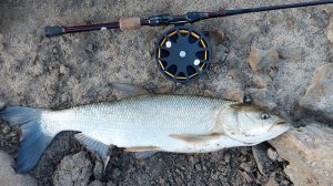 Рыбалка на Мокше