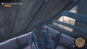 DAYS GONE найти собаку (Собака Бухаря)