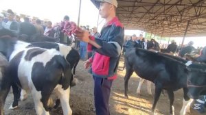 27 апреля 2025 г.Молбозори Спитамен Нов.Полный Обзор.Бозо