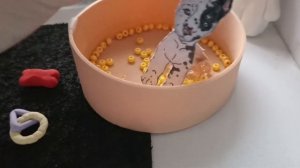 два новых щенка? что? #бумажные собаки