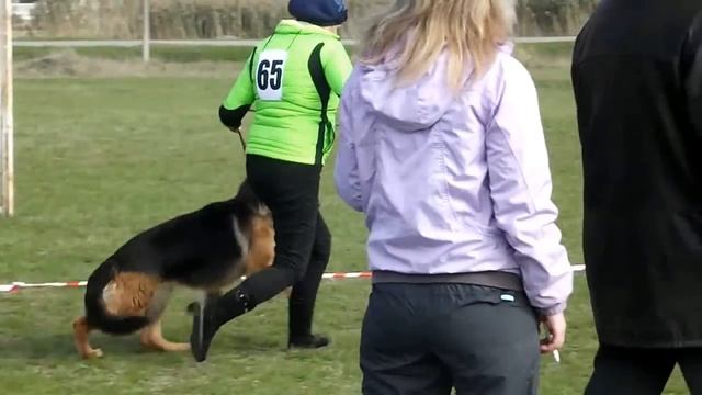 65 Рус Герц Адель ЛЮССИ