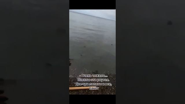 Жёсткая правда от Волонтеров с побережья Черного моря