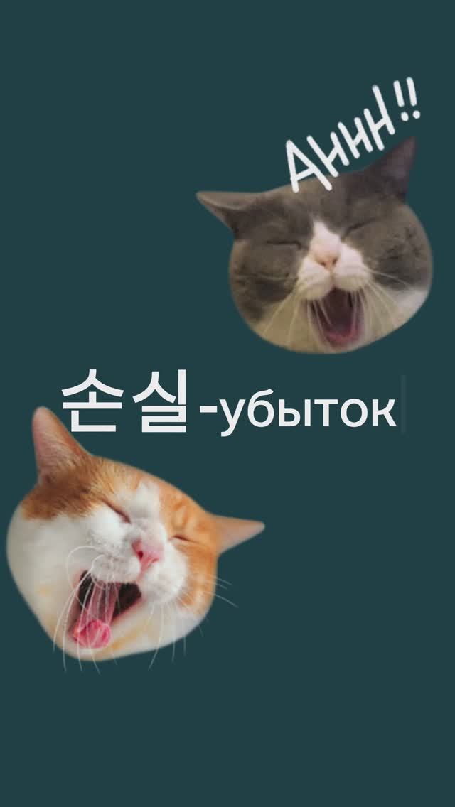 Корейский язык. Лексика для TOPIK2 смотреть онлайн