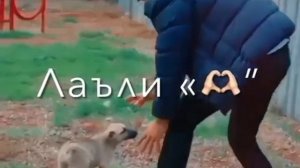 бехтарин клипи эрони барои ошикон аз филми хохарон ва