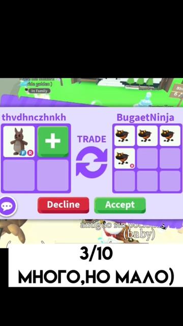 смотрим,что дают за кенгуру 🦘 #roblox #adoptme смотреть онлайн