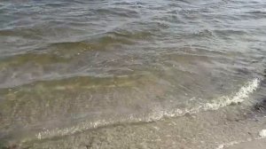 🍂🍁влог, прогулка с бумажной собакой таффи. 🌇🐶