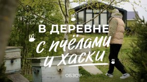 Жизнь в деревне: сколько стоит каркасный дом, как завести пчёл и стаю хаски / Sewera