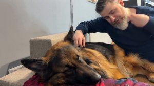 Как выбрать ПРАВИЛЬНЫЙ намордник для собаки!