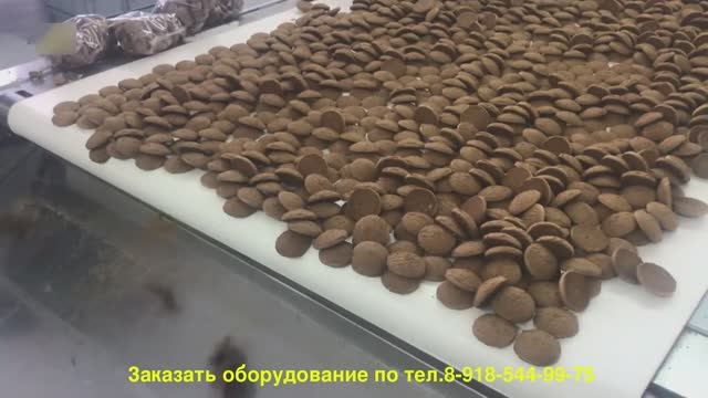 Линия фасовки с мультиголовочным дозатором МГ-10 Упаковка овсяного печенья смотреть онлайн