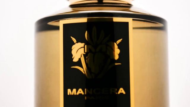 BLACK VANILLA смотреть онлайн