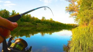 Береговой спиннинг в мае! Рыбалка на спиннинг с берега 2025!