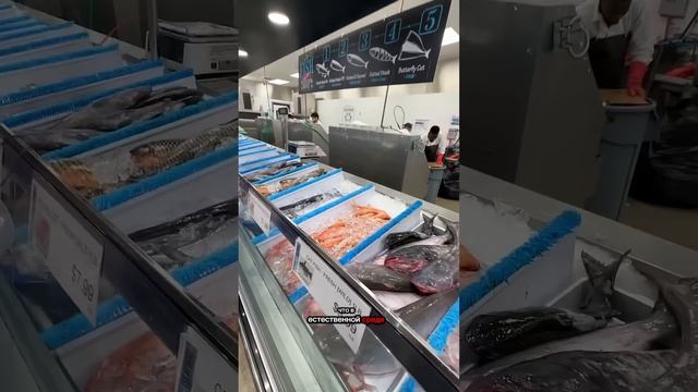 Рыба в Америке, есть или… #нашивсша #америка #shortvideo #short смотреть онлайн