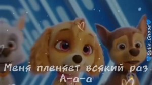 ||Гонщик и Скай||Леди Баг и Супер Кот||