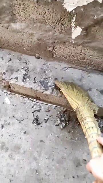 был курятник, переделали под выращивание вëшенки. пот?