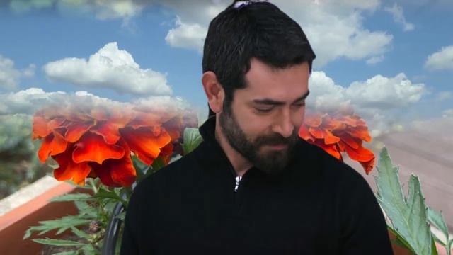 Кровавые цветы 403 серия русская озвучка | Kan Çiçekleri | Обз смотреть онлайн