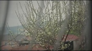 Королева ночи серия 32 | с дубляжем на русском | Gecenin Kralice