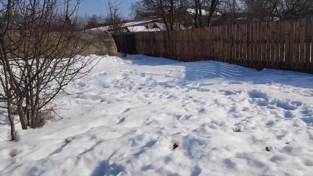 бигфут 1 часть смотреть онлайн