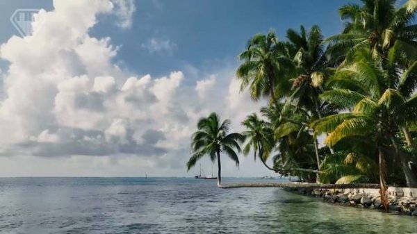 Deep House, супер Микс, 🎷🎹🎸, хит