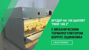 Новая модель! Брудер для цыплят с механическим терморегулятором Prof 100 z