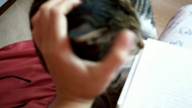 #неудачныйобзоркниги УЛИЧНЫЙ КОТ ПО ИМЕНИ БОБ / +наша н смотреть онлайн