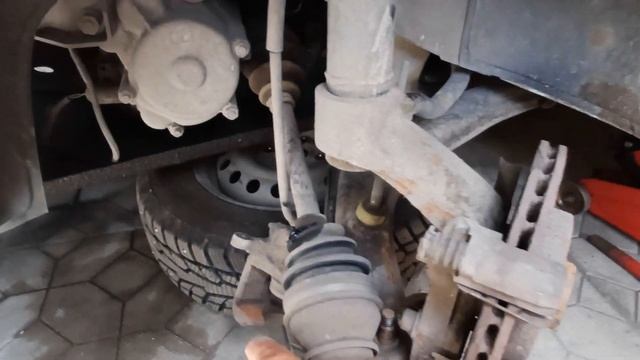 Vroom Vroom Wonderland