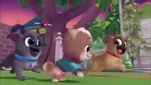 Дружные мопсы