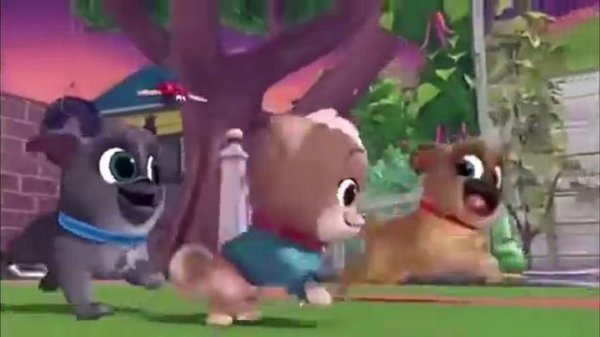 Дружные мопсы