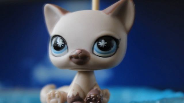 LPS: NoCookShow #2 - Парадокс музыкальной шкатулки