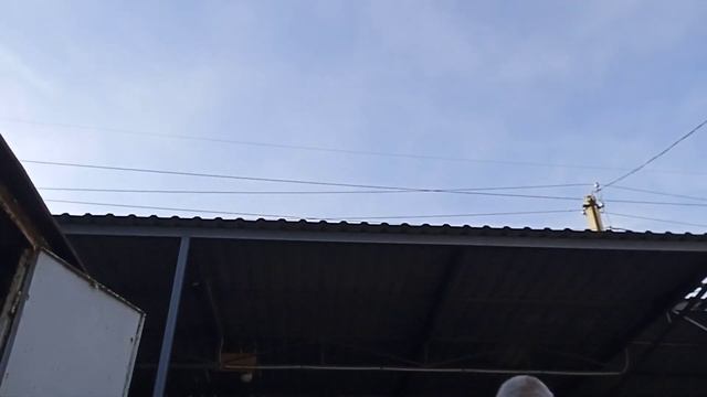 21 сентября 2024 г. Опель зафира а . смотреть онлайн