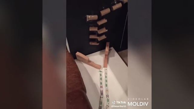 Прикольные видео тик тока смотреть онлайн