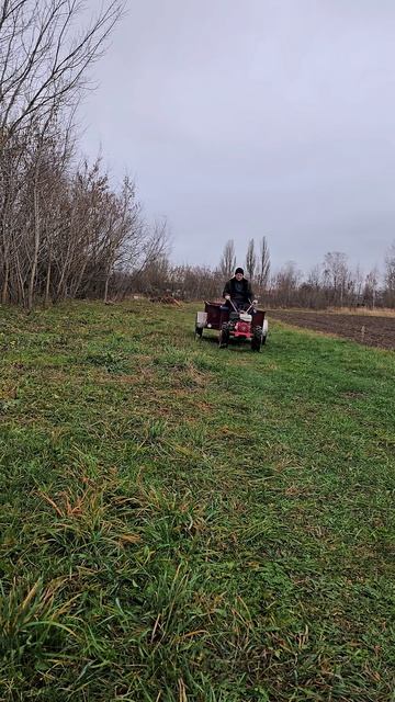 Ноябрьские покатушки на мотоблоке Белорус 09Н от МТЗ. #? смотреть онлайн