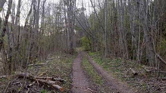 Пороги в лесу Шолы. смотреть онлайн