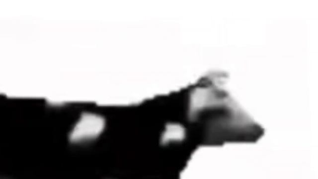 Польская Корова Танцует на 2 х скорости