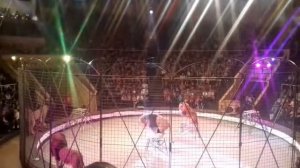 Принц Египта