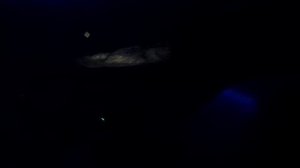 Водитель для Веры.