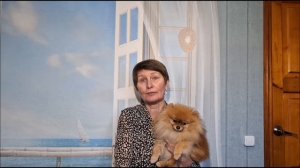 Заболевания шпицев. #шпиц