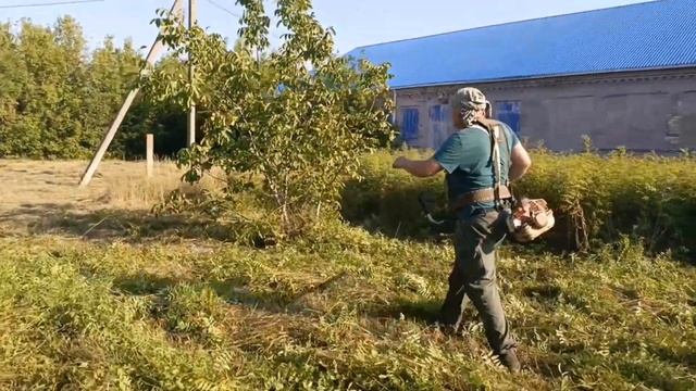 Как Мульчирующий нож рубит толстые ветки. Ответ диван? смотреть онлайн