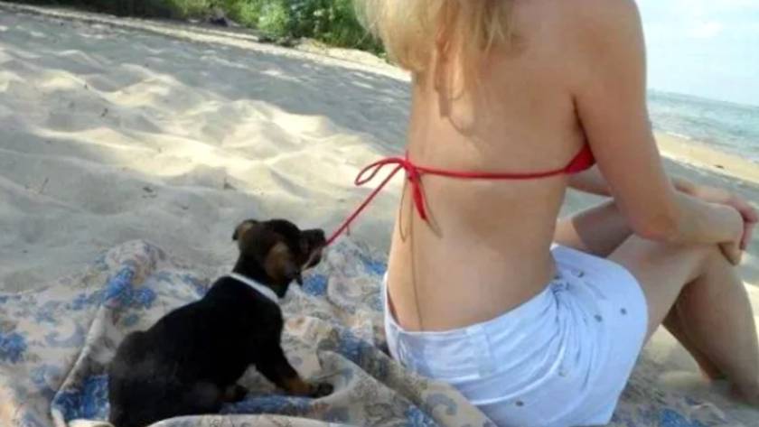 Я РЖАЛ ДО СЛЕЗ 😂 5 Минут ОТБОРНЫХ приколов 2025 Смешные видео - Лучшие ПРИКОЛЫ смотреть онлайн