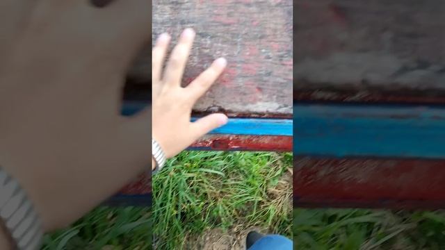 ПОЯВЛЕНИЕ СТЁПЫЧА смотреть онлайн