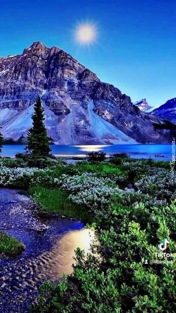 Обои на телефон смотреть онлайн