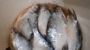 Солим, вялим, сушим - сами! Таранька из леща