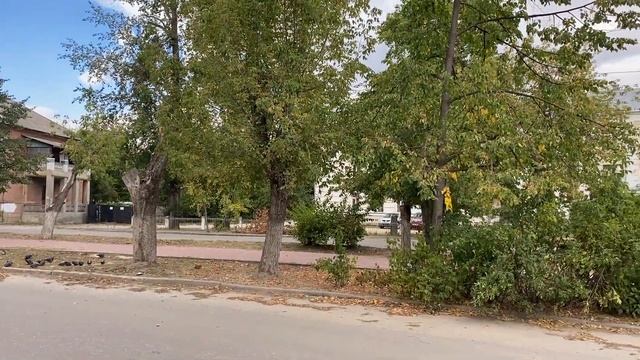 НО, г. Заволжье, пр-т Мира, 30. Видео у входа. смотреть онлайн