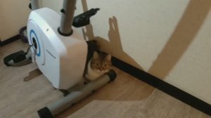 Купили... СОБИРАЕМ велотренажер.