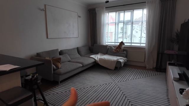 ПОЖАР И ПОТОП В ОДИН ДЕНЬ! Выставка и 🦊 ЖИЗНЬ В АНГЛИИ