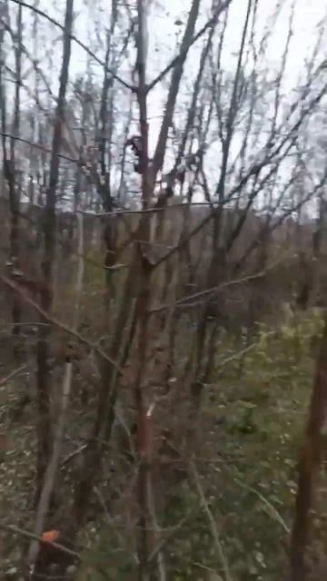 поставили лестницу для того что бы начать делать вышк? смотреть онлайн