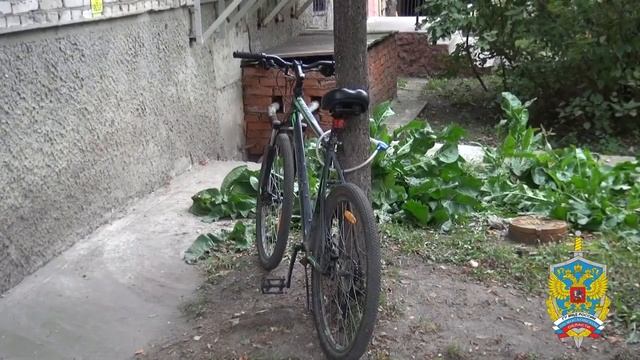 Серийного вора, совершившего два десятка краж, поймали в Шатуре смотреть онлайн