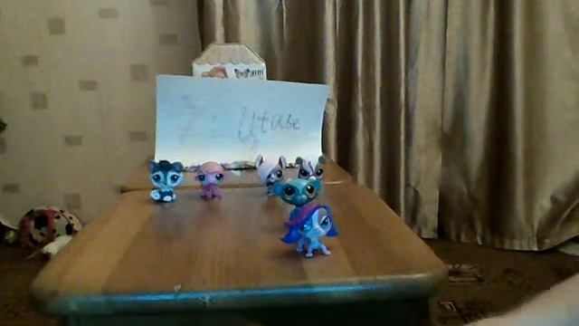 петшопы клипы! (мой кот любит хип-хоп,и безумие!)