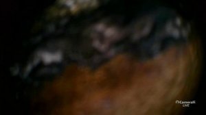 Mazda CX-5 Skyactive 2.0, 2021г.в. 110000км эндоскопия двигателя